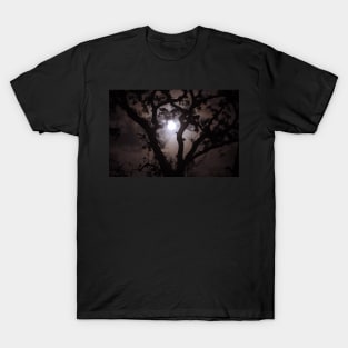 Night of the Werewolves T-Shirt